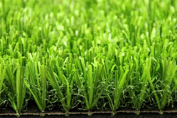 �Ĵ��ɶ������ƺ�۸�